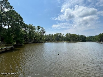 1039 Pasture Point Rd, Merritt, NC 28556 - photo 4