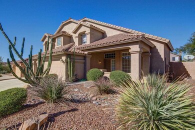 Desert Landscaping