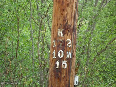 MEA Pole #on right lot line (Small)