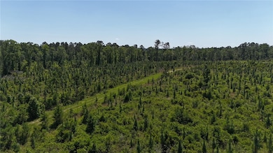 0 Deer Run Rd, Vidalia, GA 30474 - photo 3