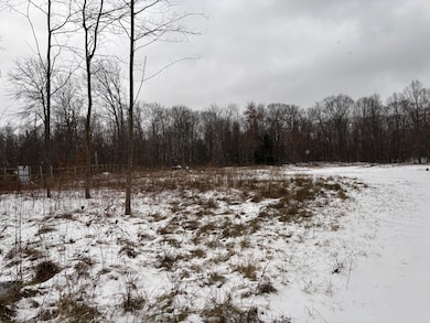 73455 Cr 378, Covert, MI 49043 - photo 4