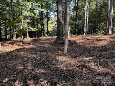 00 Hayes Mill Rd unit A-1, Granite Falls, NC 28630 - photo 3