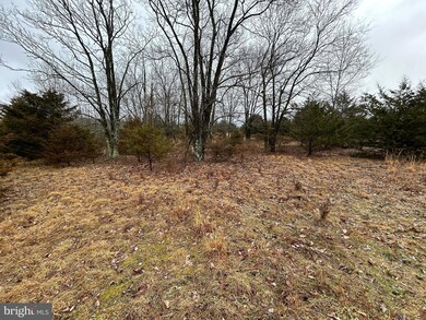 0 Quantico Trail Bantry Way unit WVGT2000778, Maysville, WV 26833 - photo 2