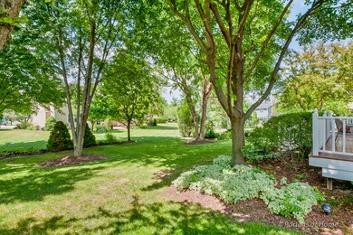 74 Venetian Way Cir, Wheaton, IL 60189 - photo 6