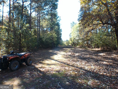 0 Dusty Rd unit 10569563, Bowman, GA 30624 - photo 5