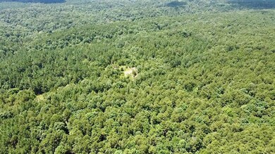 40 Trout Creek Rd, Watson, OK 74963 - photo 5