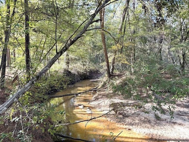 2080 County Road 1100, Woodville, TX 75979 - photo 4