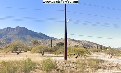 8065 S Vato Ln, Hereford, AZ 85615 - photo 4
