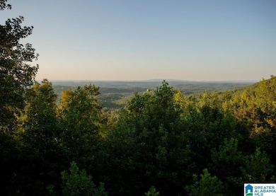 1190 Skyway Dr, Lineville, AL 36266 - photo 5