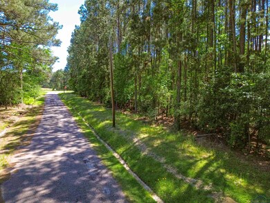 View of road with a forest view