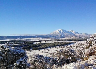 Winter View