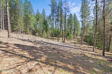 L1B1 NKA Highway 97, Harrison, ID 83833 - photo 7