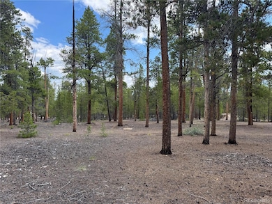 719 Peakview unit 352A, Twin Lakes, CO 81251 - photo 4