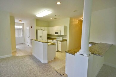 Open Kitchen / Dining / Living Area