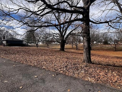 32172 S 618 Ln, Grove, OK 74344 - photo 7