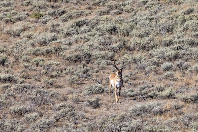 0 Tbd unit 11613076, Big Piney, WY 83113 - photo 2