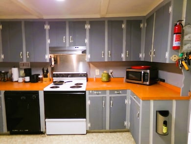 142 Stathams Ln, Abbeville, GA 31001 - photo 6