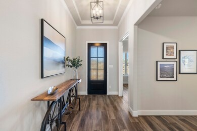 View of the front door from inside the home.
