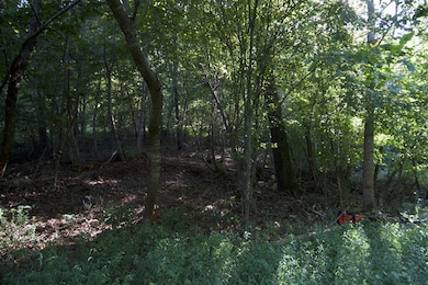 0 Lucy Wade Rd unit 921164, Rocky Mount, VA 24151 - photo 7