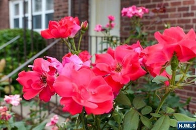 395 Park St unit 395G, Hackensack, NJ 07601 - photo 4