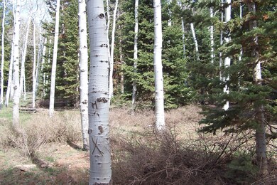 GMA 5 acre parcel 002