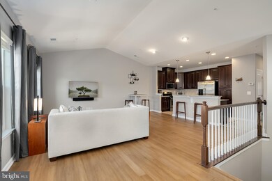 24656 Hutchinson Farm Dr, Sterling, VA 20166 - photo 5