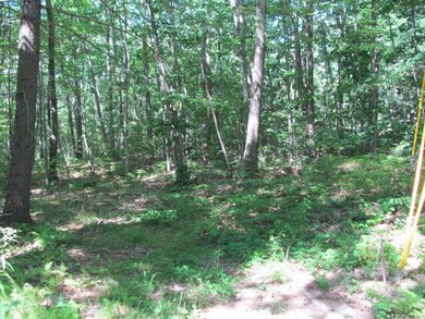 40 Moose Rocks Rd, Kennebunkport, ME 04046 - photo 3