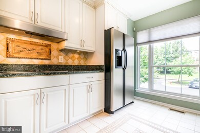 46743 Hobblebush Terrace, Sterling, VA 20164 - photo 4