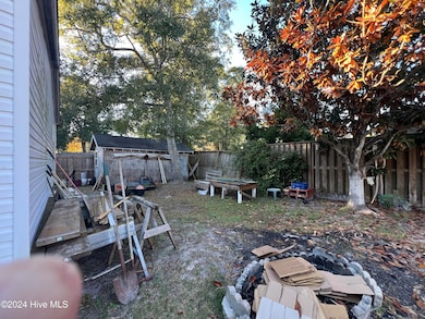 Lorenzo back yard
