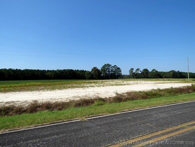 TBD Cowpen Swamp Rd, Fairmont, NC 28340 - photo 2
