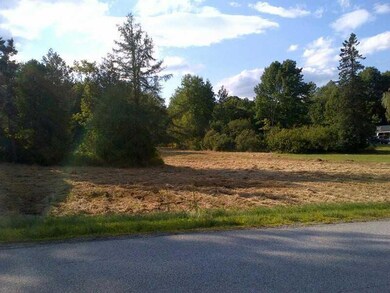 Yard/Garden.