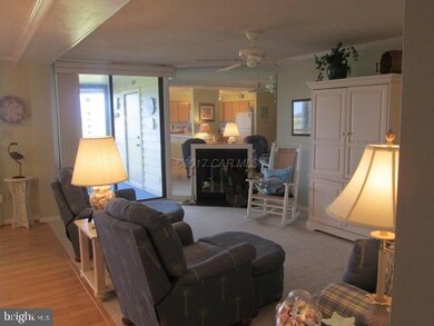 119 Old Landing Rd unit 203 C, Ocean City, MD 21842 - photo 5