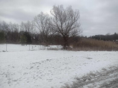 2610 N Wixom Rd, Commerce Township, MI 48382 - photo 5