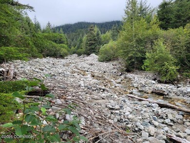 Creek looking up