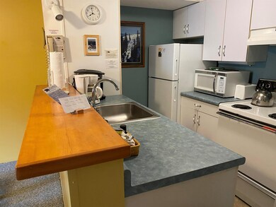 23 Black Bear Way unit 511, Waterville Valley, NH 03215 - photo 4