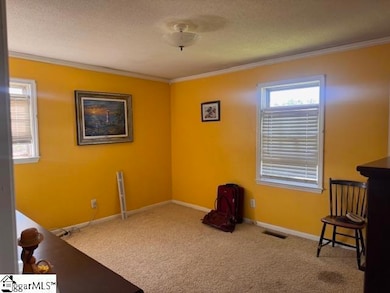 117 Hendrix Dr, Boiling Springs, SC 29316 - photo 6