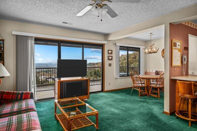 3 Treehouse Ln unit 2, Branson, MO 65616 - photo 7