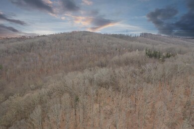 2708 W Gallaher Ferry Rd, Knoxville, TN 37932 - photo 2