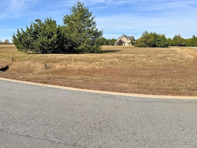 103 La Paloma Cir, Gordonville, TX 76245 - photo 4