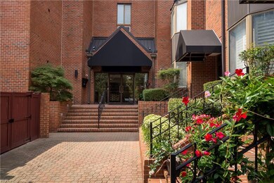 421 W Bute St unit 402, Norfolk, VA 23510 - photo 3