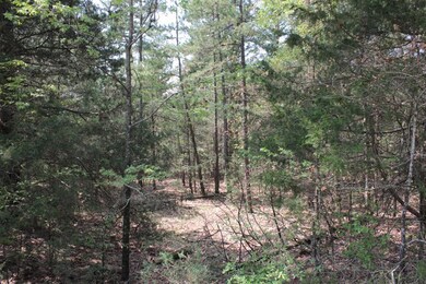 Woods