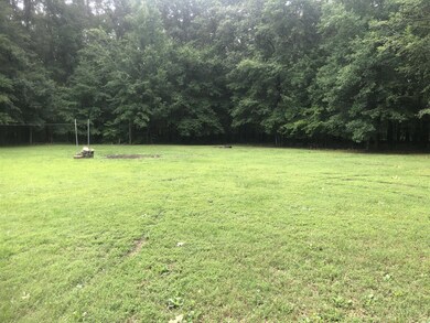 Large yard for the kids and pets to play in 