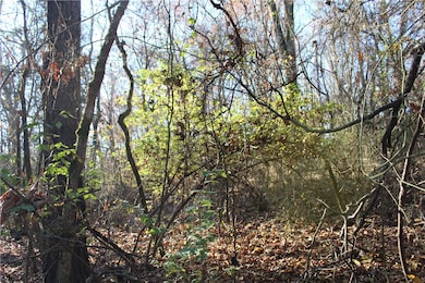 001-04740-000 Marion County 5045, Yellville, AR 72687 - photo 7