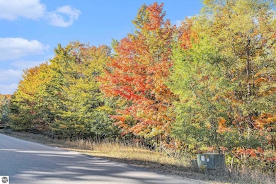 4885 Grayhawk Blvd unit 16, Traverse City, MI 49684 - photo 3