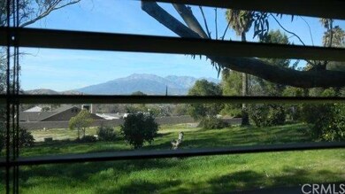 View from living room window