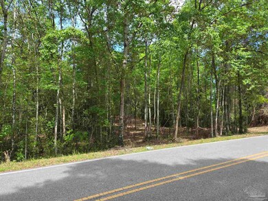 1131 Wolf Log Rd, Flomaton, AL 36441 - photo 7