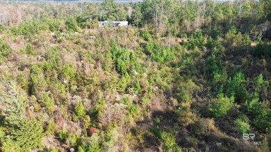 159 Dakota Rd, McKenzie, AL 36456 - photo 7