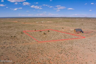 1915 E Antelope Vista, Valle, AZ 86046 - photo 4