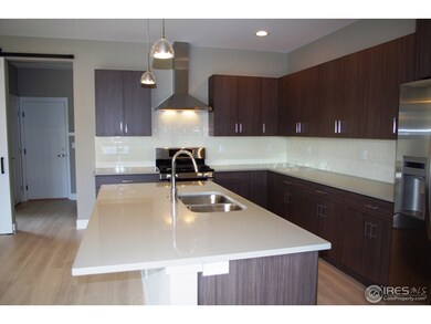 386 Cajetan St, Fort Collins, CO 80524 - photo 5