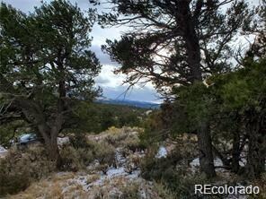 4584 Laidlaw, Fort Garland, CO 81133 - photo 5